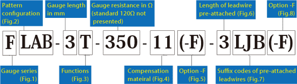 img-codingsys-01