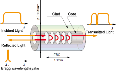 FBG Fiber-optic Sensing System | Tokyo Measuring Instruments Laboratory Co., Ltd.